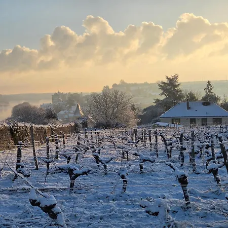 Le Belvedere De Climatise Montsoreau
