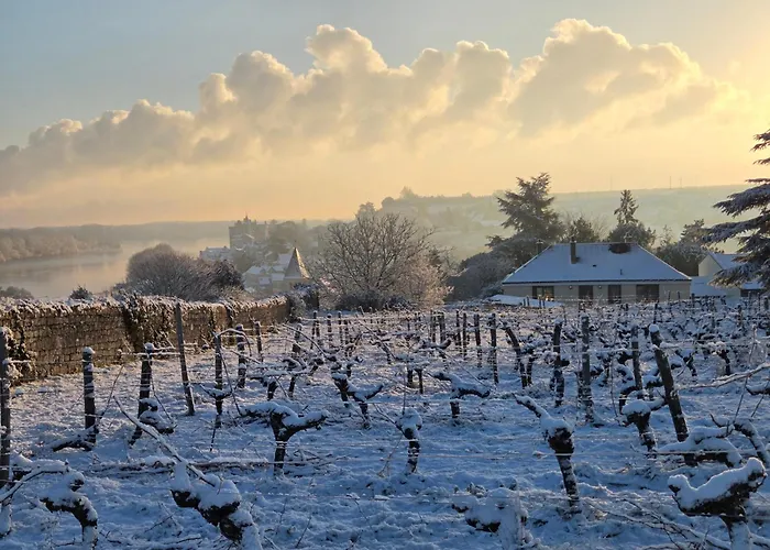 Le Belvédère De Montsoreau